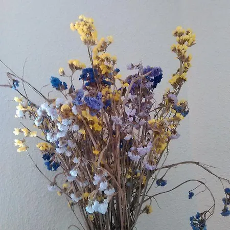 Sabi Hostel-residencia אכסניה *
